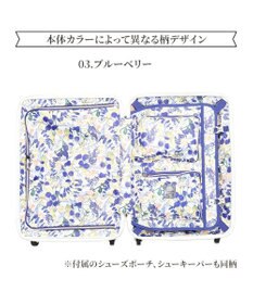 ACE BAGS & LUGGAGE 【雑誌掲載】 HaNT×Jewelna Rose コラボ スーツケース Mサイズ 06822 ハント ジュエルナローズ
