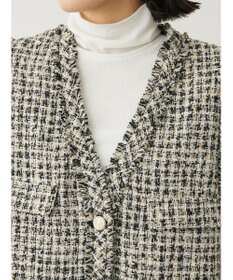 Green Parks ・ＥＬＥＮＣＡＲＥ　ＤＵＥ　ツィードノーカラーベスト