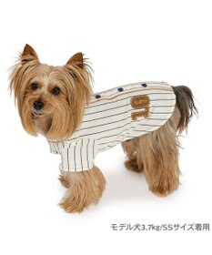 PET PARADISE ペットパラダイス 野球 Tシャツ 小型犬