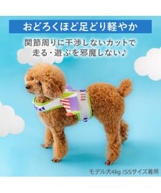 PET PARADISE ディズニー トイ・ストーリー バズ ベストハーネス ＳＳ