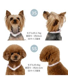 PET PARADISE ペットパラダイス 28℃クールリング 《くま》 ＳＳ 小型犬