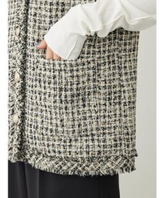 Green Parks ・ＥＬＥＮＣＡＲＥ　ＤＵＥ　ツィードノーカラーベスト