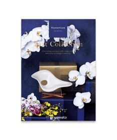 antina gift studio ベストコレクション ＜Nasturtium-(ナスタチウム)＞