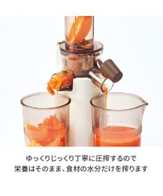 YAMATO テーブル＆キッチン 【レコルト】コールドプレスジューサーミニ  セージグリーン  RCJ-1(GE)