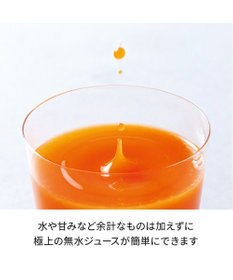 YAMATO テーブル＆キッチン 【レコルト】コールドプレスジューサーミニ  セージグリーン  RCJ-1(GE)