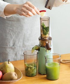 YAMATO テーブル＆キッチン 【レコルト】コールドプレスジューサーミニ  セージグリーン  RCJ-1(GE)