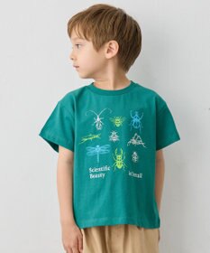 ANY KIDS 【洗濯機可能】昆虫プリント 半袖Tシャツ