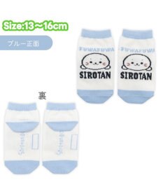 Mother garden ネット店 しろたん 靴下 3足セット 2026春 13～16cm