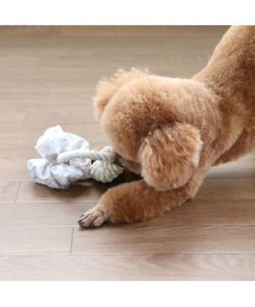 PET PARADISE ペットパラダイス 引っ張り シュシュ トイ  《 花柄 / ドット柄 》