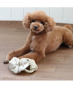 PET PARADISE ペットパラダイス 引っ張り シュシュ トイ  《 花柄 / ドット柄 》