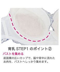 BRADELIS New York 【BRADELIS New York / 育乳補整ブラ・STEP1 集める】ジャスミンステップ1ブラ25S1 ブラデリス 補正 ブラジャー