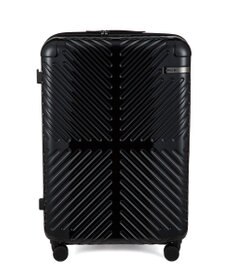 ACE BAGS & LUGGAGE ACE ラディアル Lサイズ 82Ｌ 06973 エース