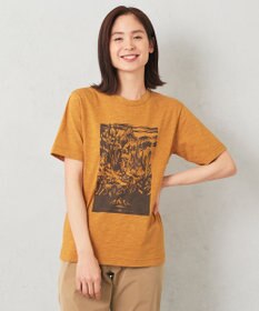 JOSEPH ABBOUD MOUNTAIN 【UNISEX】ヴィンテージオーガニック天竺 Tシャツ