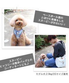 PET PARADISE スヌーピー ハーネス＆リード 〔３Ｓ〕 反射 小型犬