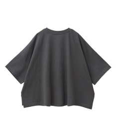 AMERICAN HOLIC STANFORD BIGプルオーバー