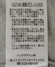 AMERICAN HOLIC BROOKLYN カレッジロゴBIGTシャツ