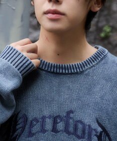 WEGO ブリーチニットグラフィックプルオーバー