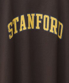 AMERICAN HOLIC STANFORD BIGプルオーバー