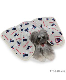 PET PARADISE リサとガスパール ブランケット 《頬杖柄》