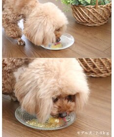 PET PARADISE りんごゼリー 8個入り