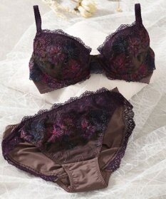 Wing Wing Lesiage　【2760シリーズ】　ブラジャー　ふっくらまる胸　カップ肌側綿混素材　ウイング／ワコール　PB2760