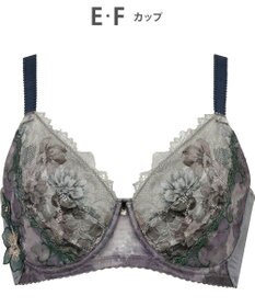 Wing ブラジャー 小さく見せるブラ Wing Lesiage 脇すっきり 背中すっきり 【2900シリーズ】 ブラ PB2901 ウイング／ワコール