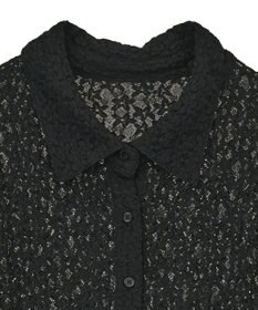 Green Parks カットレースシャツプルオーバー