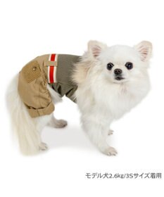 PET PARADISE ペットパラダイス マナーパンツ 小型犬