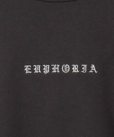 WEGO 【ユニセックス着用ITEM】アーチバックロゴグラフィックプルオーバー