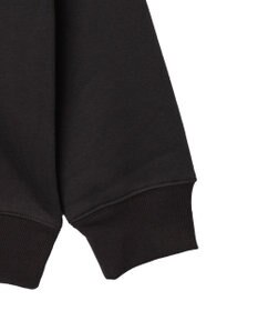 WEGO 【ユニセックス着用ITEM】アーチバックロゴグラフィックプルオーバー