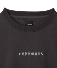 WEGO 【ユニセックス着用ITEM】アーチバックロゴグラフィックプルオーバー