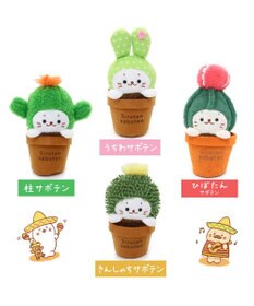 Mother garden しろたん サボテン マスコット 《うちわサボテン》