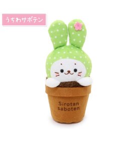 Mother garden しろたん サボテン マスコット 《うちわサボテン》