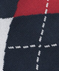 23区GOLF 【MEN】アーガイル柄　レギュラーソックス