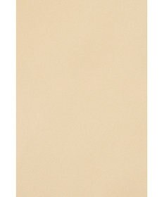 DAKS 【DAKS GOLF】ストリングブルゾン