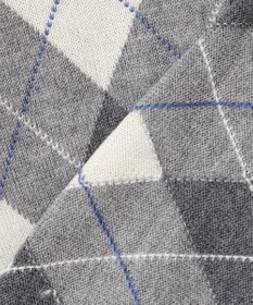 J.PRESS LADIES 【WEB限定カラーあり・洗える】アーガイルツイン ニット