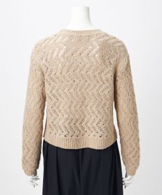 23区 【GOLD LABEL】シェニールレーススパングル クルーネック ニット