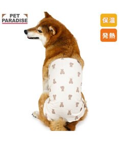 PET PARADISE ペットパラダイス くまちゃん ペティヒート 天竺 腹巻 小型犬