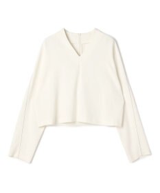 BEIGE， RUE / ドライタッチVネック配色ステッチブラウス