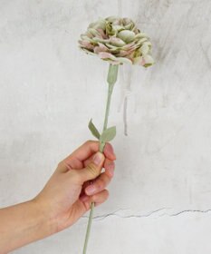 POLS 母の日ギフトセット(Mサイズ)