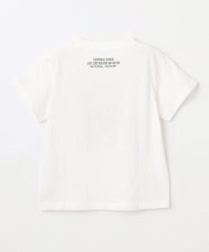 ANY KIDS 恐竜プリント 半袖 Tシャツ