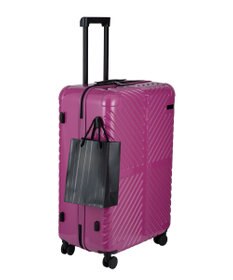 ACE BAGS & LUGGAGE ACE ラディアル Lサイズ 82Ｌ 06973 エース