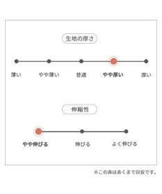PET PARADISE ペットパラダイス パーカー 《恐竜 なりきり》 中型犬 大型犬