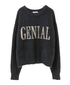 Green Parks シャギーロゴニットプルオーバー