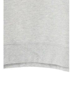 Green Parks Ｄｉｓｎｅｙ／裏起毛フロッキープリントスウェット