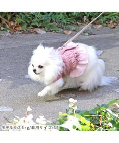 PET PARADISE ペットパラダイス アウター ハーネス ベスト 《フリル》 小型犬