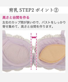 BRADELIS New York 【BRADELIS New York/ 育乳補整ブラ・STEP2 寄せる】ローズステップ2ブラ26S1 補正下着 しっかり谷間を作るブラ