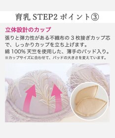 BRADELIS New York 【BRADELIS New York/ 育乳補整ブラ・STEP2 寄せる】ローズステップ2ブラ26S1 補正下着 しっかり谷間を作るブラ