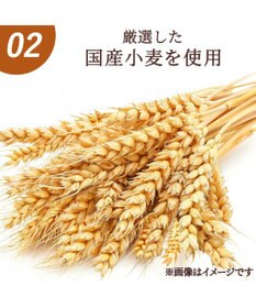 PET PARADISE ペットパラダイス 国産小麦 ミックスラスク　35ｇ