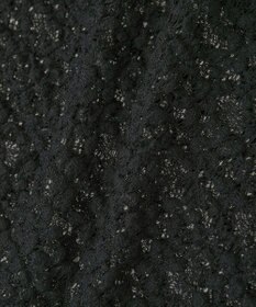 Green Parks カットレースシャツプルオーバー